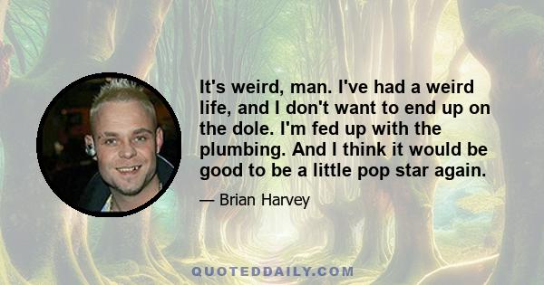 It's weird, man. I've had a weird life, and I don't want to end up on the dole. I'm fed up with the plumbing. And I think it would be good to be a little pop star again.