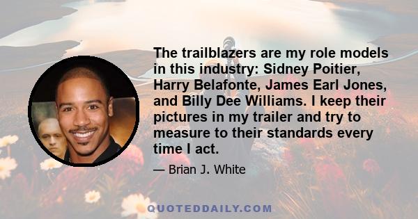 The trailblazers are my role models in this industry: Sidney Poitier, Harry Belafonte, James Earl Jones, and Billy Dee Williams. I keep their pictures in my trailer and try to measure to their standards every time I act.