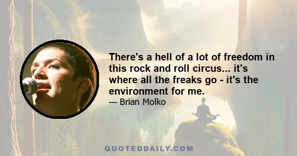 There's a hell of a lot of freedom in this rock and roll circus... it's where all the freaks go - it's the environment for me.