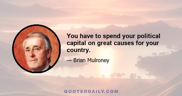 You have to spend your political capital on great causes for your country.