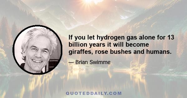 If you let hydrogen gas alone for 13 billion years it will become giraffes, rose bushes and humans.