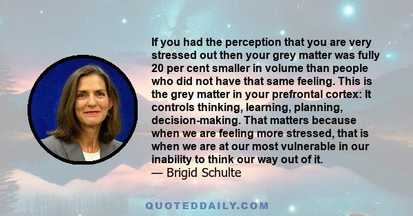 If you had the perception that you are very stressed out then your grey matter was fully 20 per cent smaller in volume than people who did not have that same feeling. This is the grey matter in your prefrontal cortex: