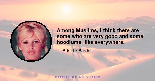 Among Muslims, I think there are some who are very good and some hoodlums, like everywhere.