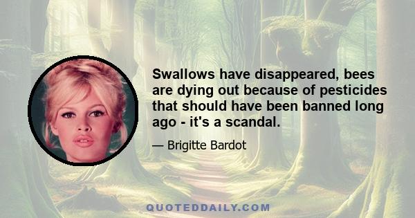 Swallows have disappeared, bees are dying out because of pesticides that should have been banned long ago - it's a scandal.