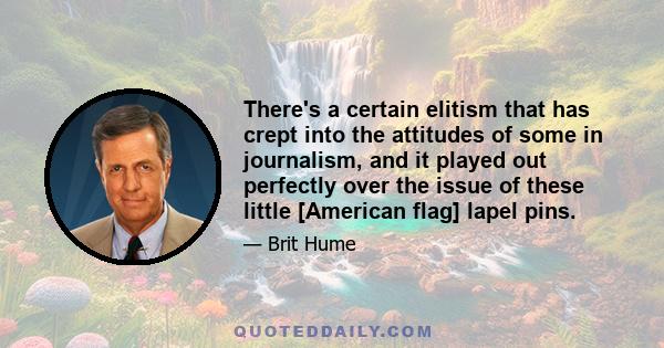 There's a certain elitism that has crept into the attitudes of some in journalism, and it played out perfectly over the issue of these little [American flag] lapel pins.