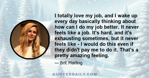 I totally love my job, and I wake up every day basically thinking about how can I do my job better. It never feels like a job. It's hard, and it's exhausting sometimes, but it never feels like - I would do this even if