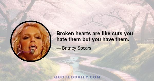 Broken hearts are like cuts you hate them but you have them.