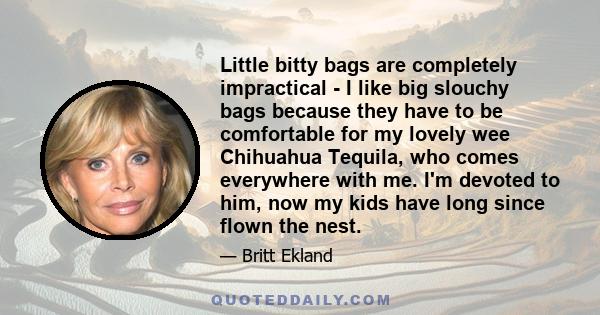 Little bitty bags are completely impractical - I like big slouchy bags because they have to be comfortable for my lovely wee Chihuahua Tequila, who comes everywhere with me. I'm devoted to him, now my kids have long