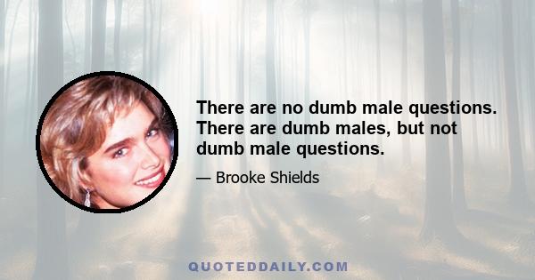 There are no dumb male questions. There are dumb males, but not dumb male questions.