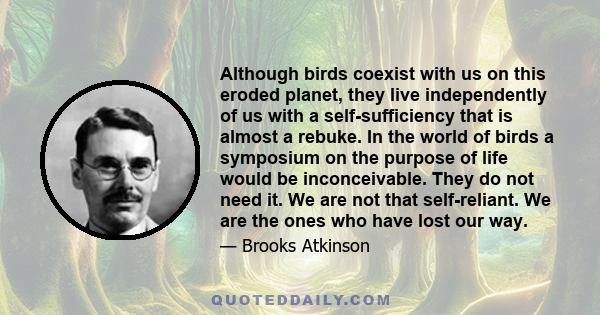 Although birds coexist with us on this eroded planet, they live independently of us with a self-sufficiency that is almost a rebuke. In the world of birds a symposium on the purpose of life would be inconceivable. They