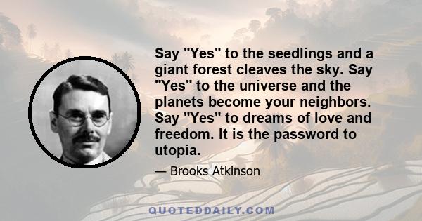 Say Yes to the seedlings and a giant forest cleaves the sky. Say Yes to the universe and the planets become your neighbors. Say Yes to dreams of love and freedom. It is the password to utopia.