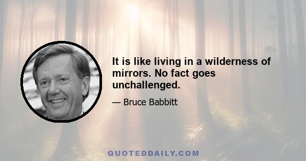 It is like living in a wilderness of mirrors. No fact goes unchallenged.