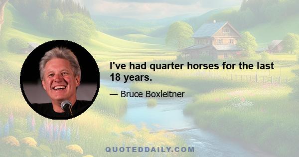 I've had quarter horses for the last 18 years.