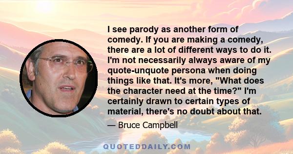 I see parody as another form of comedy. If you are making a comedy, there are a lot of different ways to do it. I'm not necessarily always aware of my quote-unquote persona when doing things like that. It's more, What