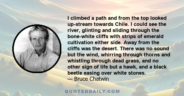 I climbed a path and from the top looked up-stream towards Chile. I could see the river, glinting and sliding through the bone-white cliffs with strips of emerald cultivation either side. Away from the cliffs was the