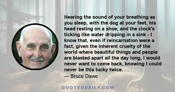 Hearing the sound of your breathing as you sleep, with the dog at your feet, his head resting on a shoe, and the clock's ticking like water dripping in a sink - I know that, even if reincarnation were a fact, given the