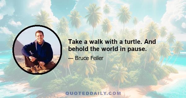 Take a walk with a turtle. And behold the world in pause.