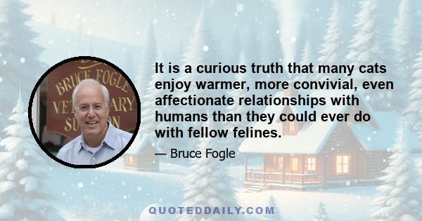 It is a curious truth that many cats enjoy warmer, more convivial, even affectionate relationships with humans than they could ever do with fellow felines.