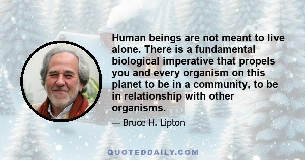 Human beings are not meant to live alone. There is a fundamental biological imperative that propels you and every organism on this planet to be in a community, to be in relationship with other organisms.