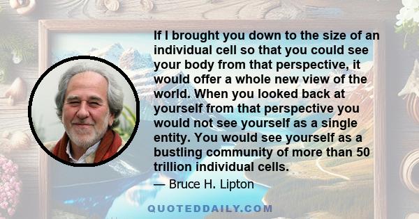 If I brought you down to the size of an individual cell so that you could see your body from that perspective, it would offer a whole new view of the world. When you looked back at yourself from that perspective you