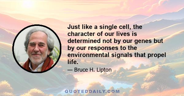 Just like a single cell, the character of our lives is determined not by our genes but by our responses to the environmental signals that propel life.