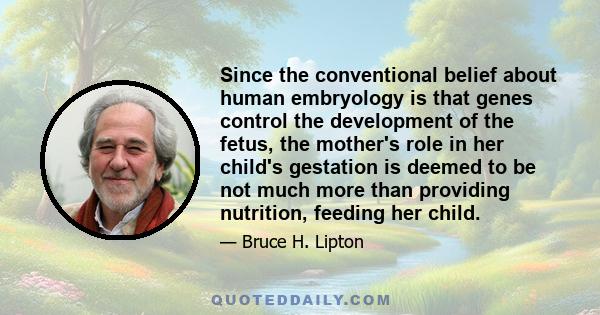 Since the conventional belief about human embryology is that genes control the development of the fetus, the mother's role in her child's gestation is deemed to be not much more than providing nutrition, feeding her