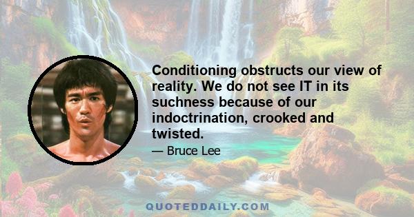 Conditioning obstructs our view of reality. We do not see IT in its suchness because of our indoctrination, crooked and twisted.