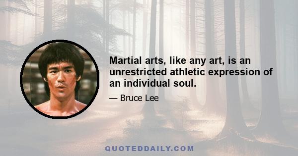 Martial arts, like any art, is an unrestricted athletic expression of an individual soul.