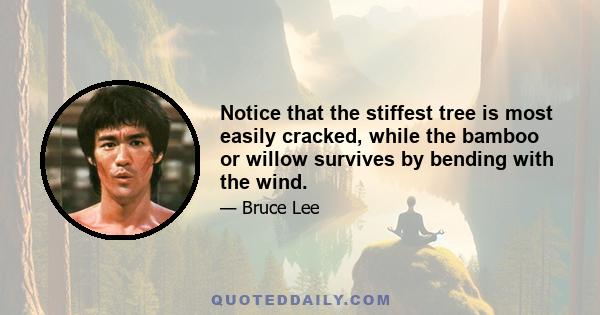 Notice that the stiffest tree is most easily cracked, while the bamboo or willow survives by bending with the wind.