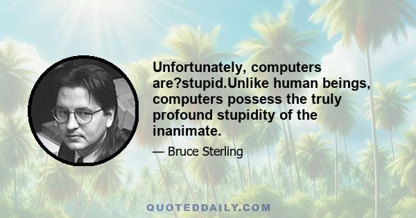 Unfortunately, computers are?stupid.Unlike human beings, computers possess the truly profound stupidity of the inanimate.