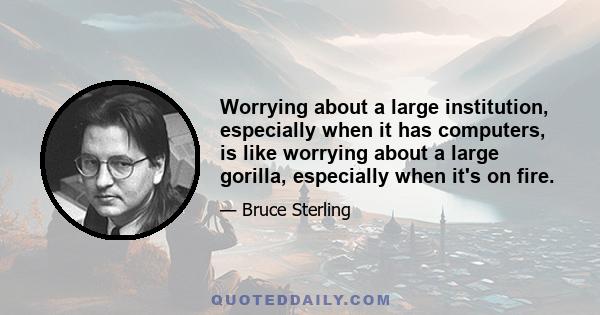 Worrying about a large institution, especially when it has computers, is like worrying about a large gorilla, especially when it's on fire.