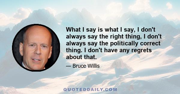 What I say is what I say, I don't always say the right thing, I don't always say the politically correct thing. I don't have any regrets about that.