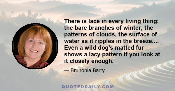 There is lace in every living thing: the bare branches of winter, the patterns of clouds, the surface of water as it ripples in the breeze.... Even a wild dog's matted fur shows a lacy pattern if you look at it closely