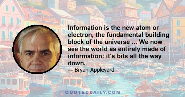 Information is the new atom or electron, the fundamental building block of the universe ... We now see the world as entirely made of information: it's bits all the way down.