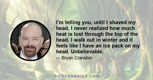 I'm telling you, until I shaved my head, I never realized how much heat is lost through the top of the head. I walk out in winter and it feels like I have an ice pack on my head. Unbelievable.