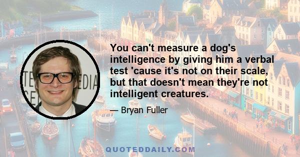 You can't measure a dog's intelligence by giving him a verbal test 'cause it's not on their scale, but that doesn't mean they're not intelligent creatures.