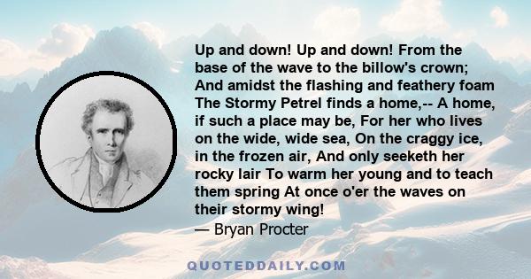 Up and down! Up and down! From the base of the wave to the billow's crown; And amidst the flashing and feathery foam The Stormy Petrel finds a home,-- A home, if such a place may be, For her who lives on the wide, wide