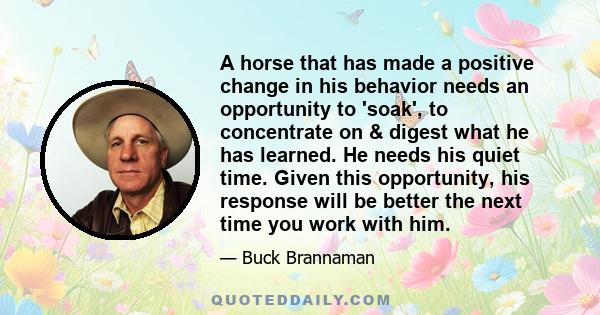 A horse that has made a positive change in his behavior needs an opportunity to 'soak', to concentrate on & digest what he has learned. He needs his quiet time. Given this opportunity, his response will be better the