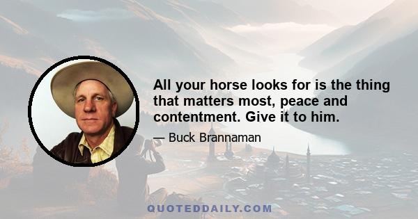 All your horse looks for is the thing that matters most, peace and contentment. Give it to him.