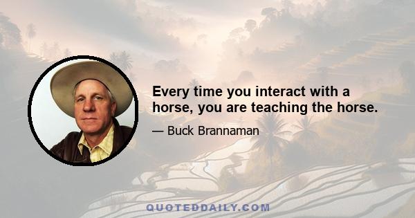 Every time you interact with a horse, you are teaching the horse.