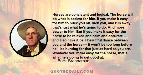 Horses are consistent and logical. The horse will do what is easiest for him. If you make it easy for him to buck you off, kick you, and run away, that’s just what he’s going to do. And more power to him. But if you