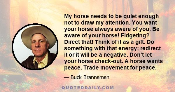 My horse needs to be quiet enough not to draw my attention. You want your horse always aware of you. Be aware of your horse! Fidgeting? Direct that! Think of it as a gift. Do something with that energy; redirect it or