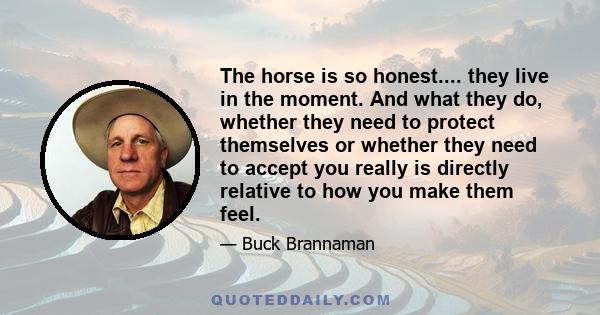 The horse is so honest.... they live in the moment. And what they do, whether they need to protect themselves or whether they need to accept you really is directly relative to how you make them feel.