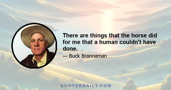 There are things that the horse did for me that a human couldn't have done.