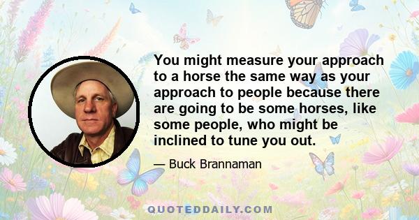 You might measure your approach to a horse the same way as your approach to people because there are going to be some horses, like some people, who might be inclined to tune you out.