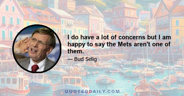 I do have a lot of concerns but I am happy to say the Mets aren't one of them.