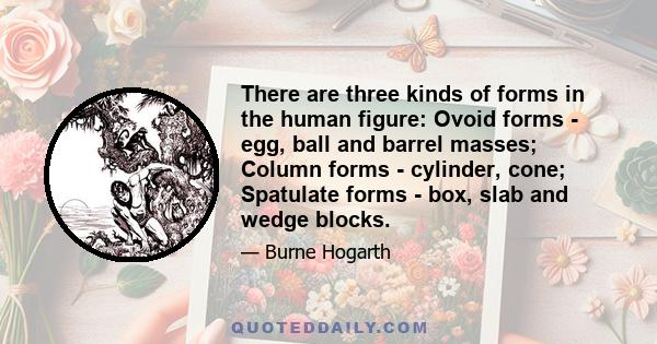 There are three kinds of forms in the human figure: Ovoid forms - egg, ball and barrel masses; Column forms - cylinder, cone; Spatulate forms - box, slab and wedge blocks.