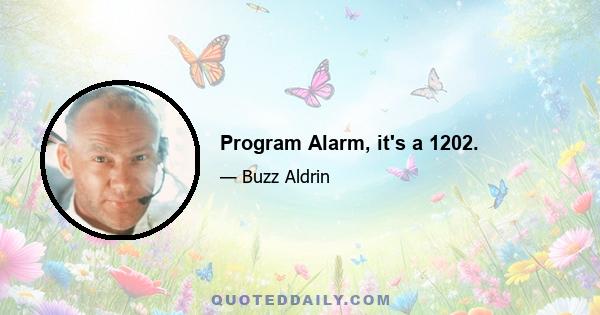 Program Alarm, it's a 1202.