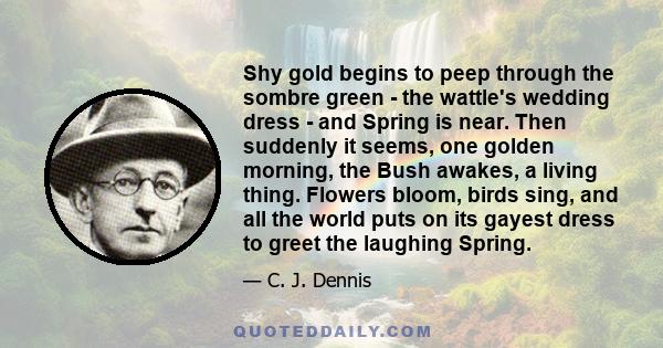 Shy gold begins to peep through the sombre green - the wattle's wedding dress - and Spring is near. Then suddenly it seems, one golden morning, the Bush awakes, a living thing. Flowers bloom, birds sing, and all the