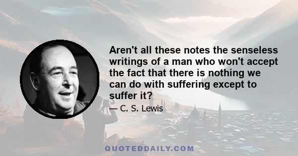 Aren't all these notes the senseless writings of a man who won't accept the fact that there is nothing we can do with suffering except to suffer it?